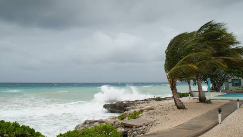 Hurricane Season