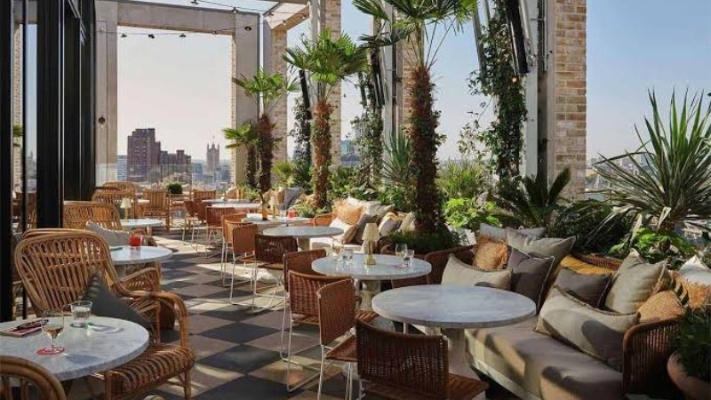 Rooftop Brunch