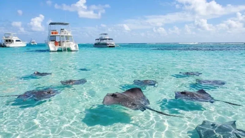 Stingray City Tour